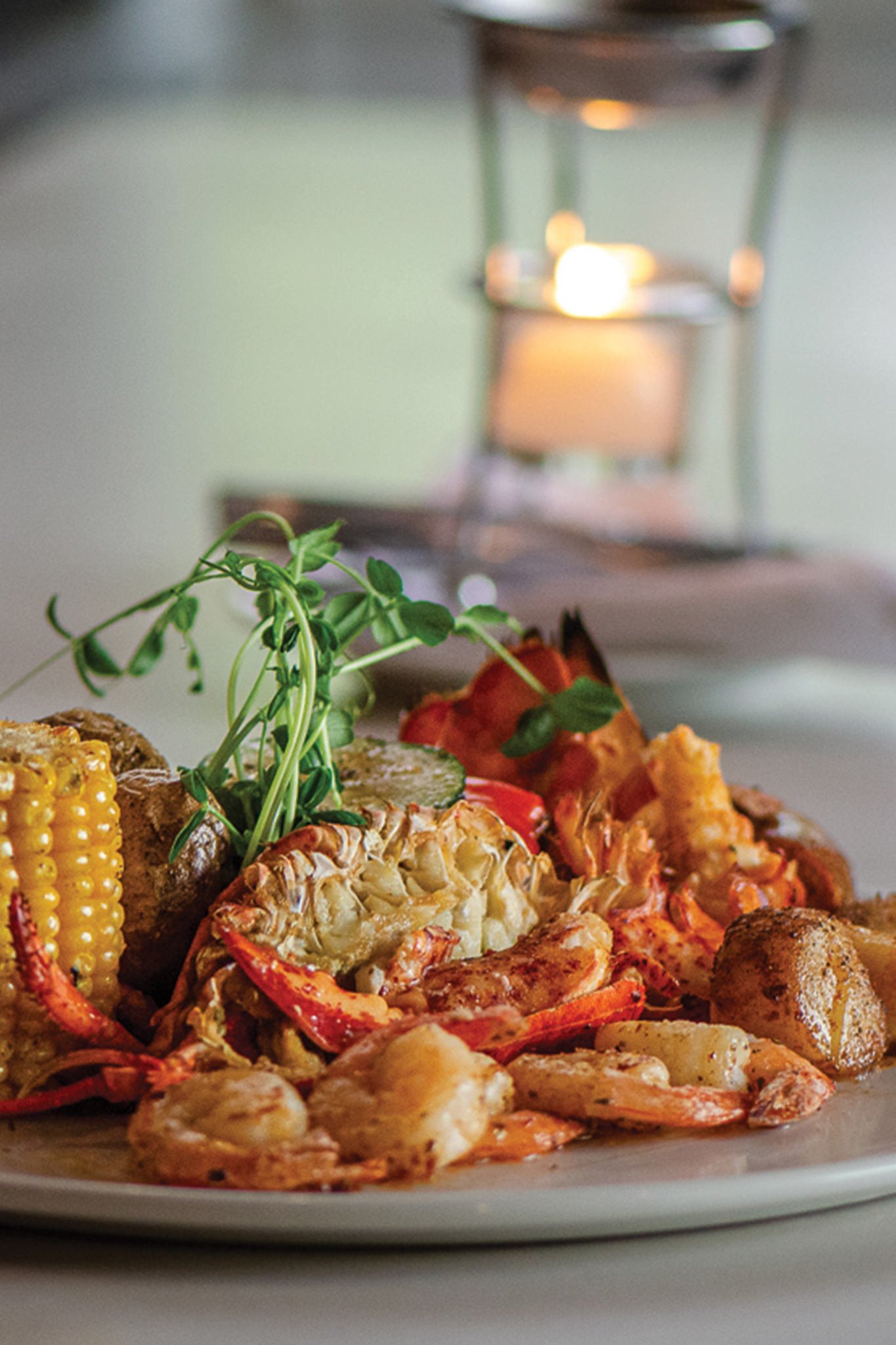 Forno-Dish-2